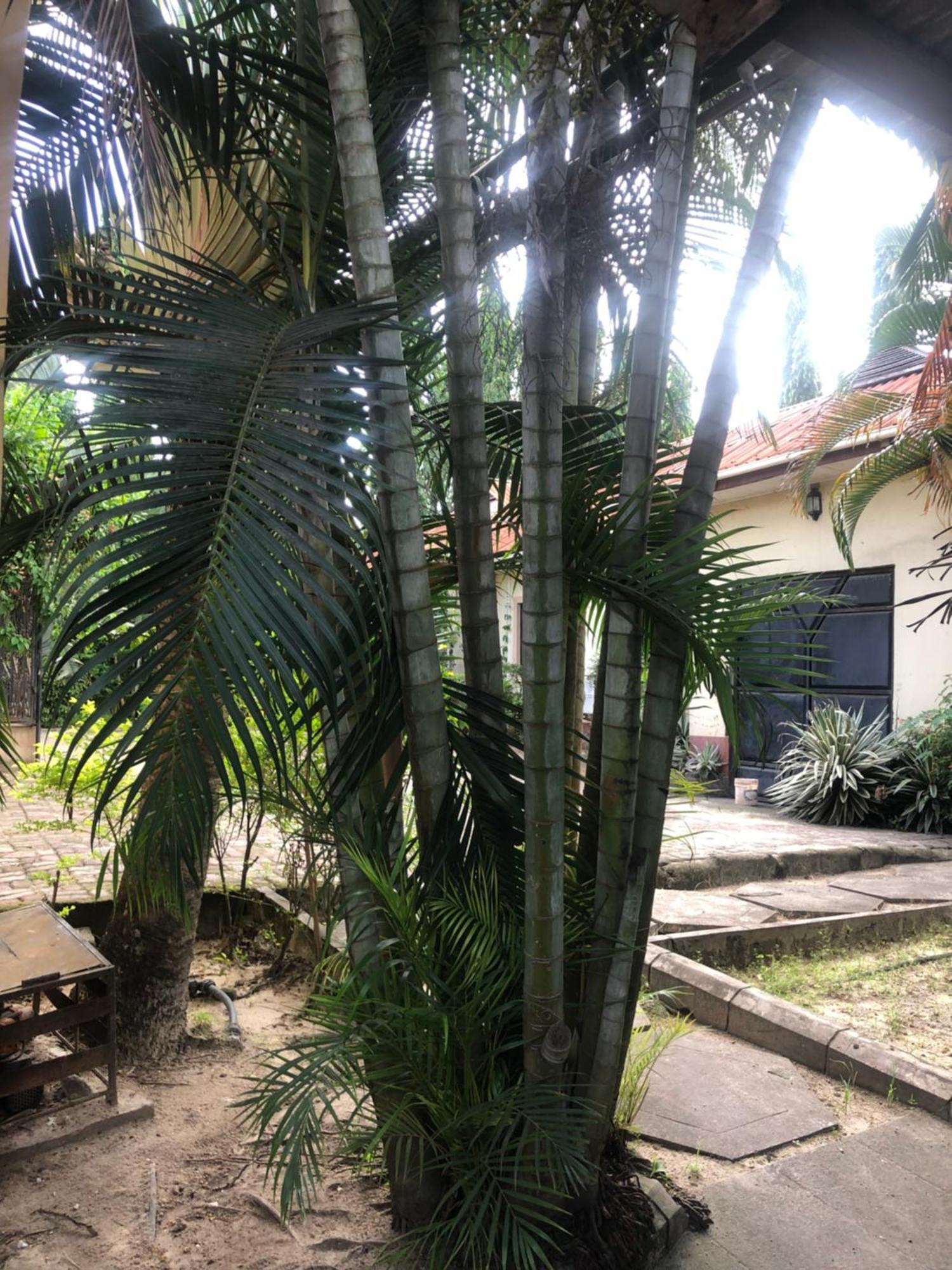 Tatys Homestay Dar es Salaam Extérieur photo
